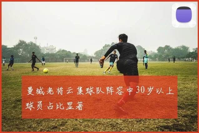 曼城老将云集球队阵容中30岁以上球员占比显著