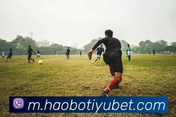 好博体育APP 封面图